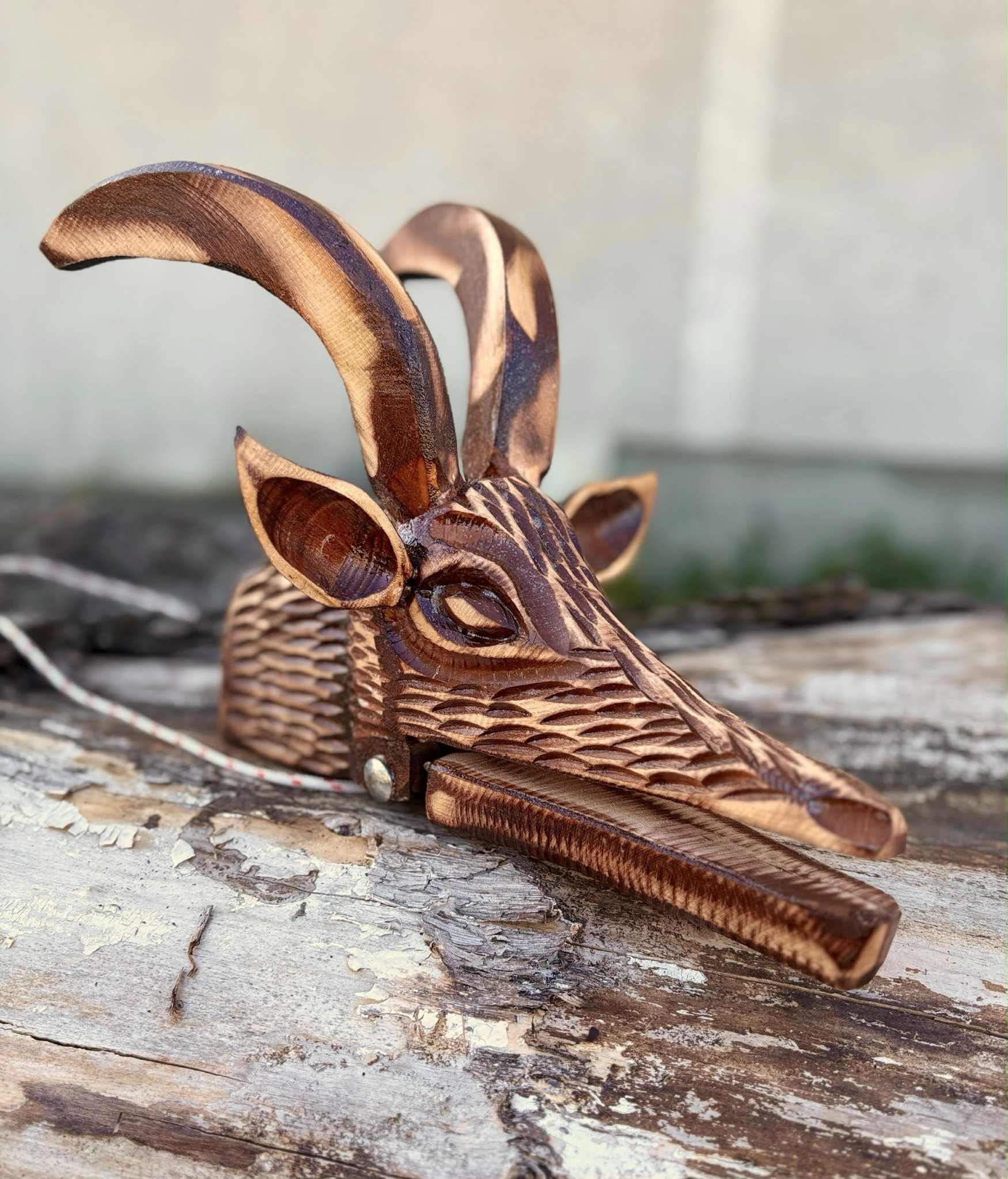 🐐 Cap de Capră Tradițional – Simbol Autentic al Folclorului Românesc Redescoperă farmecul sărbătorilor de iarnă cu acest cap de capră sculptat manual din lemn de tei! Un simbol esențial al Jocului Caprei, această piesă artizanală aduce autenticitatea tradițiilor românești în casa ta. Perfect pentru colindători, pasionați de folclor și iubitori de obiecte decorative rustice. 🎭 Tradiție & Semnificație Jocul Caprei este unul dintre cele mai spectaculoase obiceiuri românești, menit să alunge spiritele rele și să aducă noroc și prosperitate în noul an. Cu sunetul clopoțeilor și energia colindătorilor, acest ritual păstrează vie magia sărbătorilor! 🔥 De ce să alegi acest cap de capră? ✅ Sculptat manual în lemn de tei – ușor, durabil, autentic ✅ Simbol al obiceiurilor de iarnă – esențial pentru colindători ✅ Ideal pentru colecționari și pasionați de folclor ✅ Decor rustic – adaugă un aer tradițional oricărui spațiu 🎁 Cadoul perfect pentru iubitorii de tradiții Dăruiește un obiect de artizanat unic, plin de istorie și simbolism! Acest cap de capră este un accesoriu autentic pentru cei care prețuiesc folclorul românesc și tradițiile de iarnă. 📌 Comandă acum și adaugă un strop de autenticitate sărbătorilor tale!